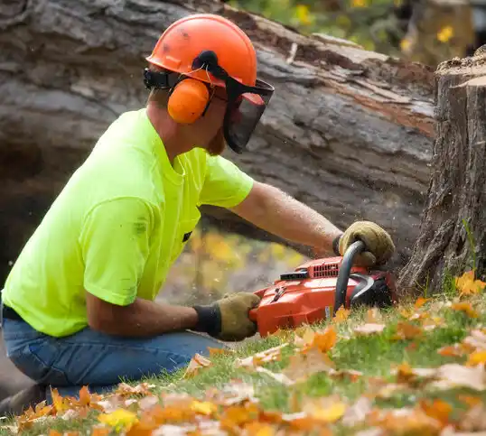 tree services Southfield